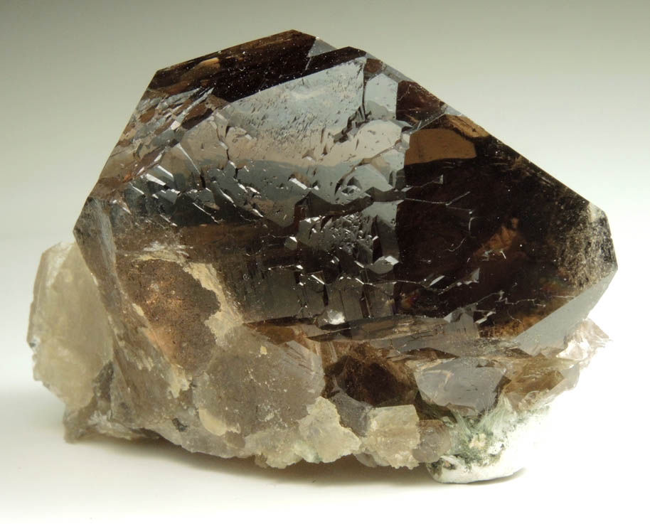 Quartz var. Smoky Quartz Gwindel from Val Giuv, Tujetsch, Sedrun, Grischun (Grisons), Switzerland