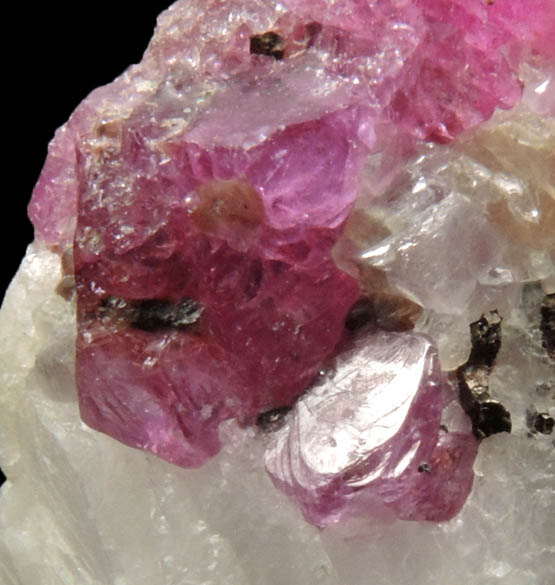 Corundum var. Ruby in marble from Mogok District, 115 km NNE of Mandalay, Mandalay Division, Myanmar (Burma)