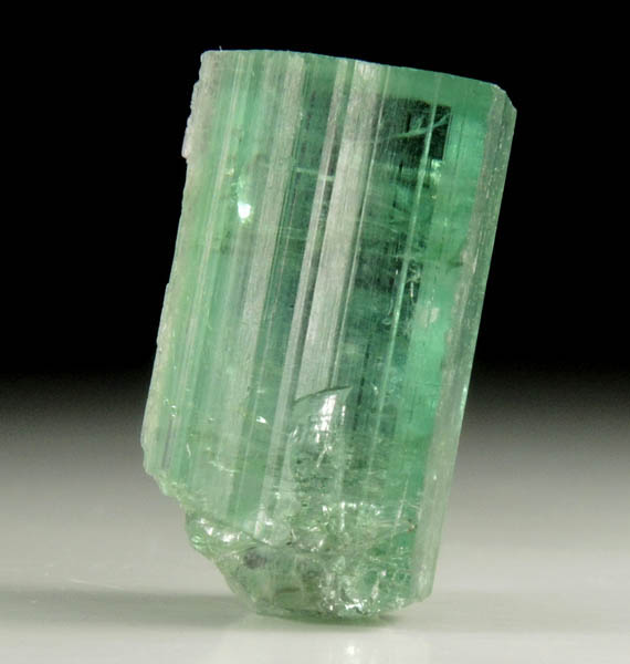 Elbaite Tourmaline from Havey Quarry, Poland, Androscoggin County, Maine