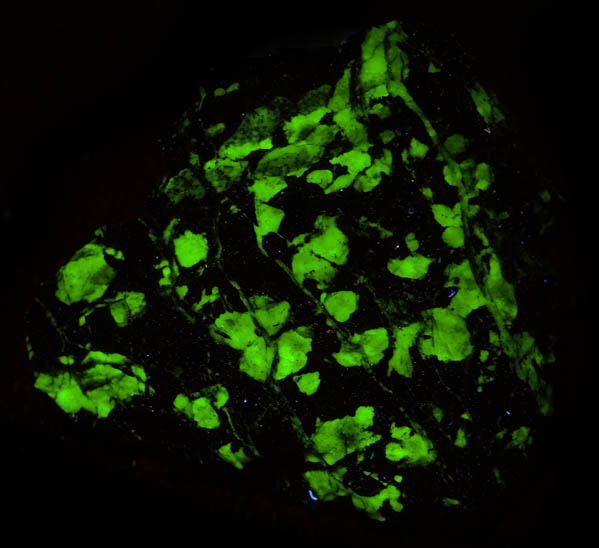 Willemite in Franklinite from Franklin District, Sussex County, New Jersey (Type Locality for Franklinite)