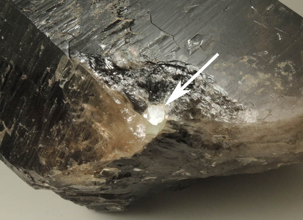 Milarite on Quartz var. Smoky Quartz from Cliff Site, Moat Mountain, Hale's Location, west of North Conway, New Hampshire