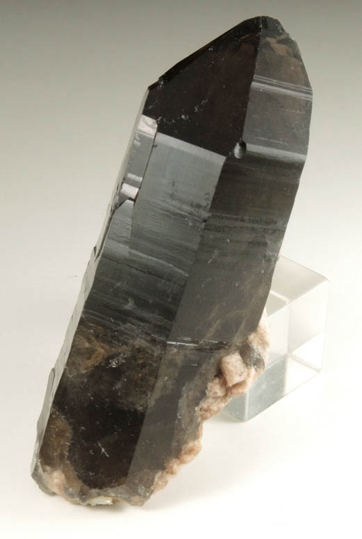 Quartz var. Smoky Quartz (Dauphin� Law Twin) from Boulder at the Knob, Center Ossipee, Carroll County, New Hampshire