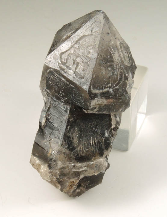 Quartz var. Smoky Quartz Scepter-formation from East Ledges, Gilman Notch, West Ossipee, Carroll County, New Hampshire