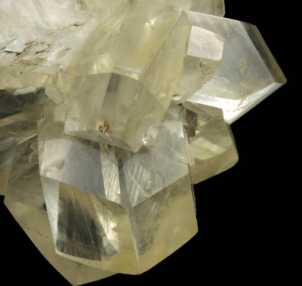 Gypsum var. Selenite from Red River Floodway, Winnipeg, Manitoba, Canada