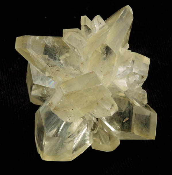 Gypsum var. Selenite from Red River Floodway, Winnipeg, Manitoba, Canada