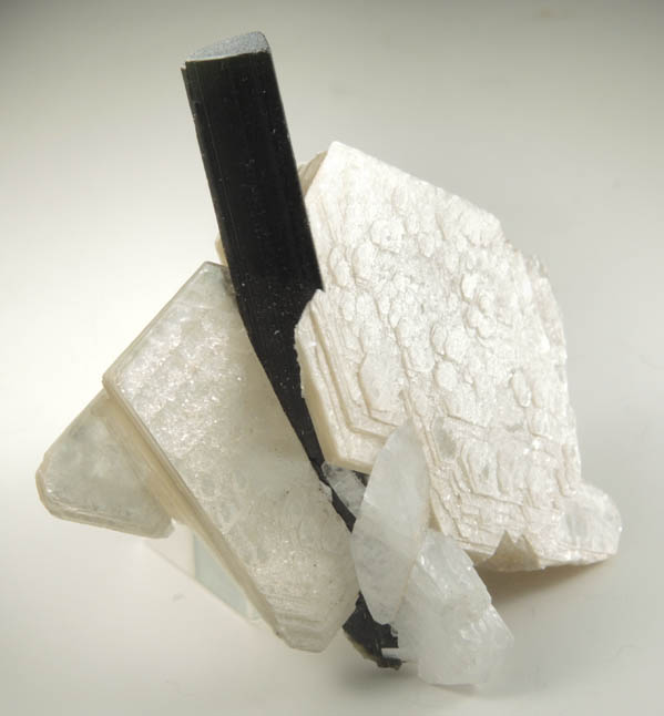 Elbaite Tourmaline in Muscovite from Minas Gerais, Brazil