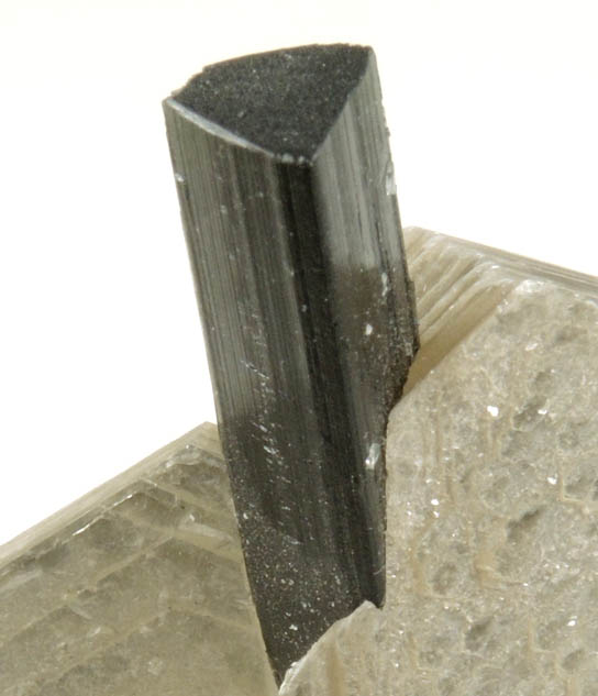 Elbaite Tourmaline in Muscovite from Minas Gerais, Brazil