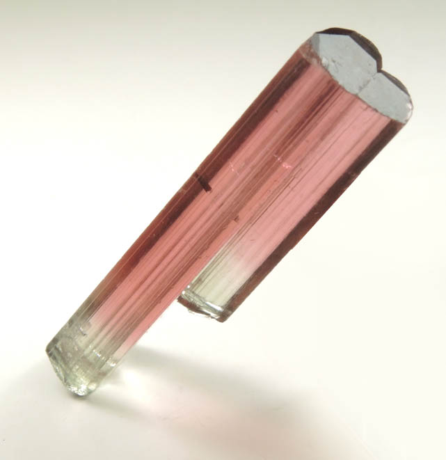 Elbaite Tourmaline (bi-colored) from Himalaya Mine, Mesa Grande District, San Diego County, California