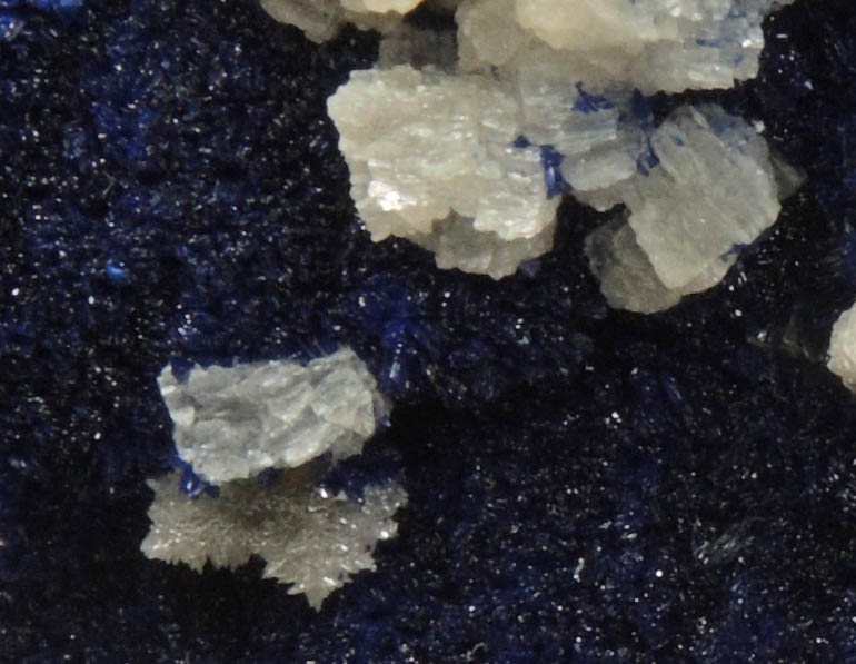 Cerussite on Azurite from Yanga Koubenza Quarry, M'Fouati, Bouenza, Brazzaville, Republic of Congo (Congo-Brazzaville)