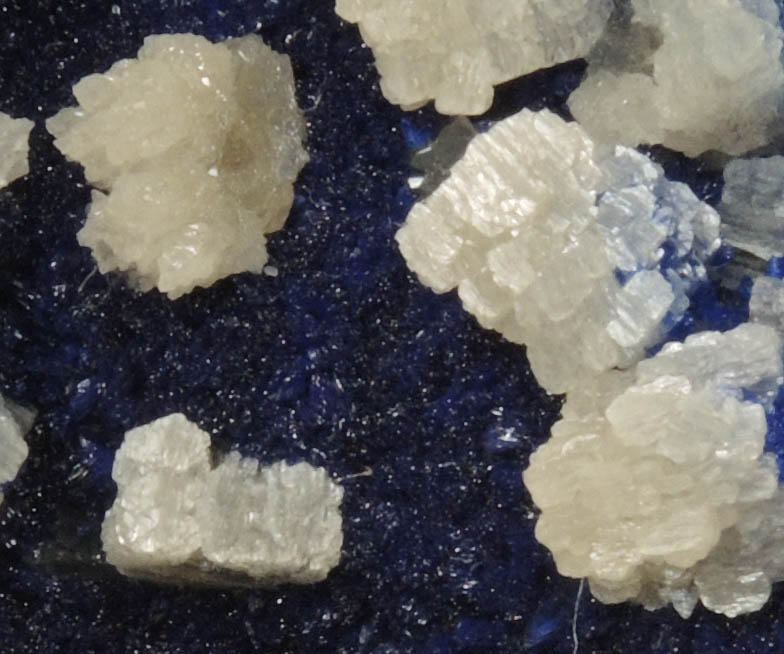 Cerussite on Azurite from Yanga Koubenza Quarry, M'Fouati, Bouenza, Brazzaville, Republic of Congo (Congo-Brazzaville)