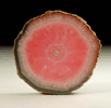 Rhodochrosite stalactite section from Capillitas Mine, Catamarca Province, Argentina