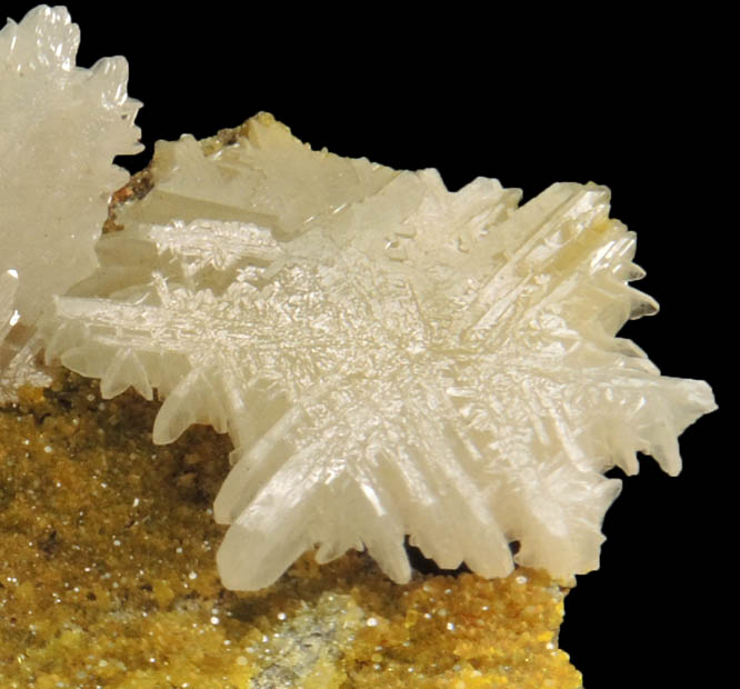 Cerussite twinned crystals on Pyromorphite from Daoping Mine, Yangshuo, Guangxi, China