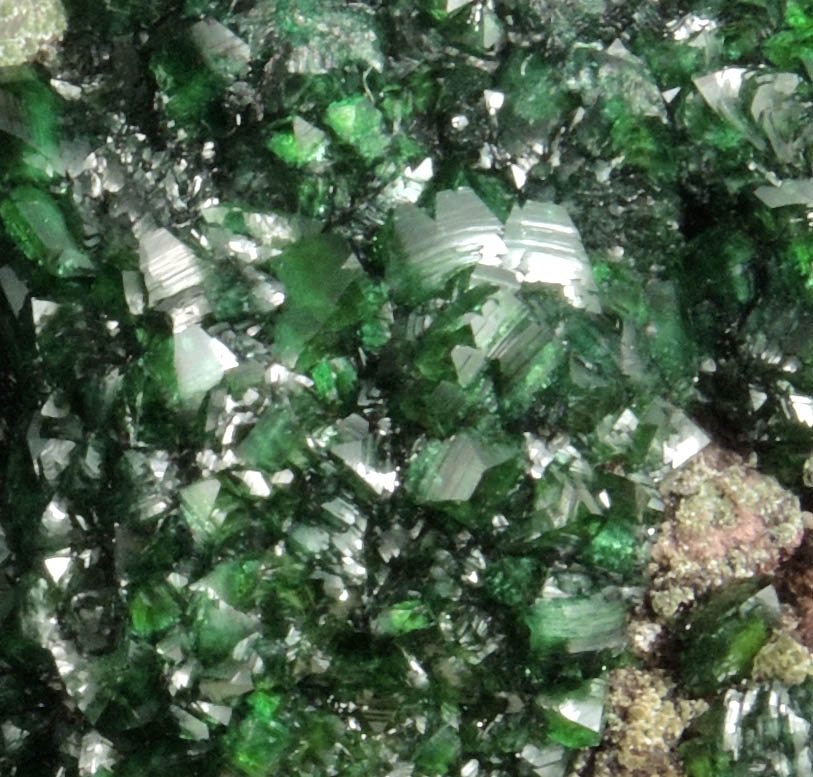 Zincolivenite (formerly Adamite var. Cuproadamite) from Tsumeb Mine, Otavi-Bergland District, Oshikoto, Namibia