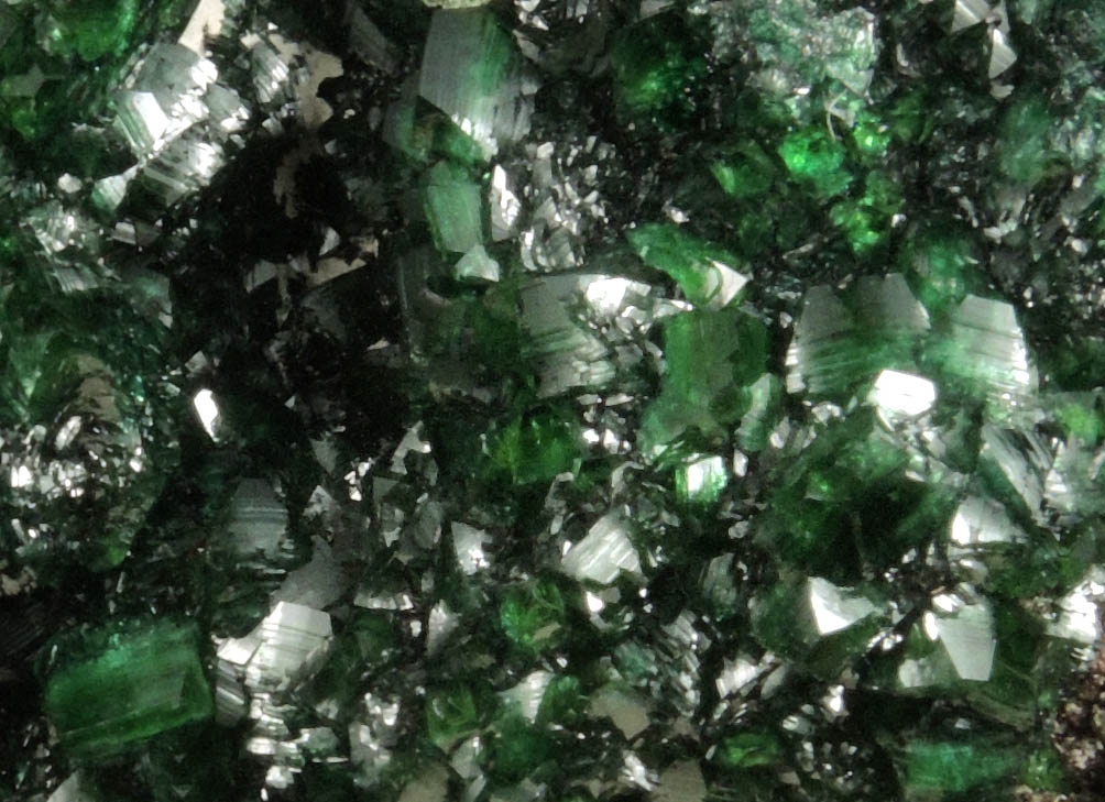 Zincolivenite (formerly Adamite var. Cuproadamite) from Tsumeb Mine, Otavi-Bergland District, Oshikoto, Namibia