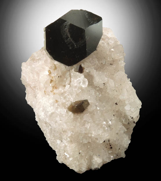 Uvite Tourmaline on Magnesite from Lavra da Pedra Preta, Brumado, Serra das �guas, Bahia, Brazil