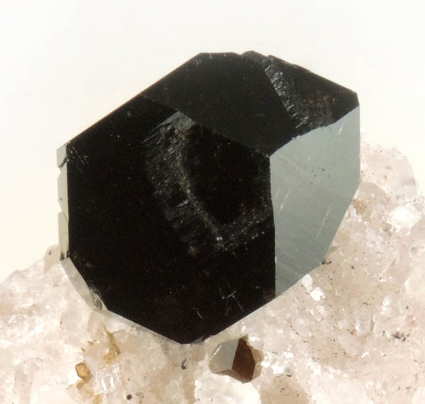 Uvite Tourmaline on Magnesite from Lavra da Pedra Preta, Brumado, Serra das �guas, Bahia, Brazil