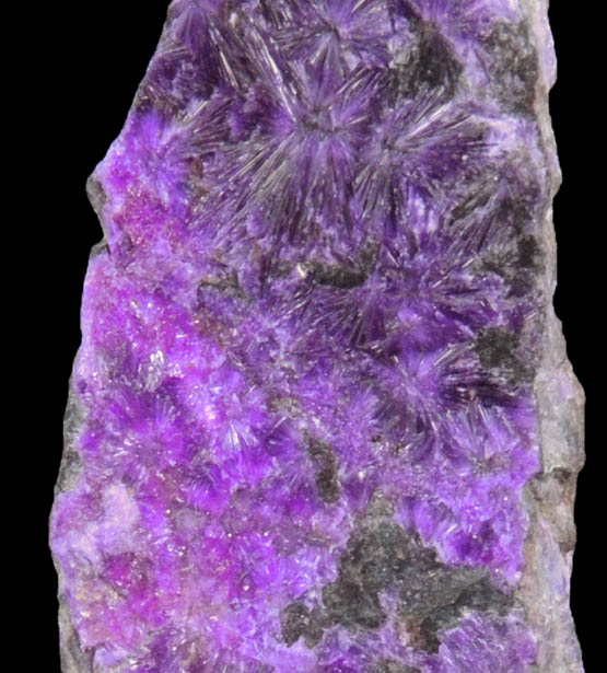 Sugilite from Wessels Mine, Kalahari Manganese Field, Northern Cape Province, South Africa