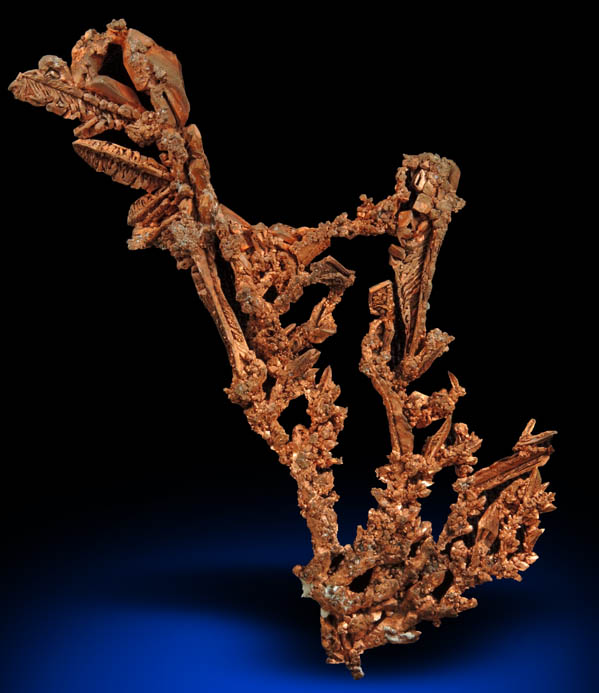 Copper (dendritic native copper) from Milpillas Mine, Cuitaca, Sonora, Mexico