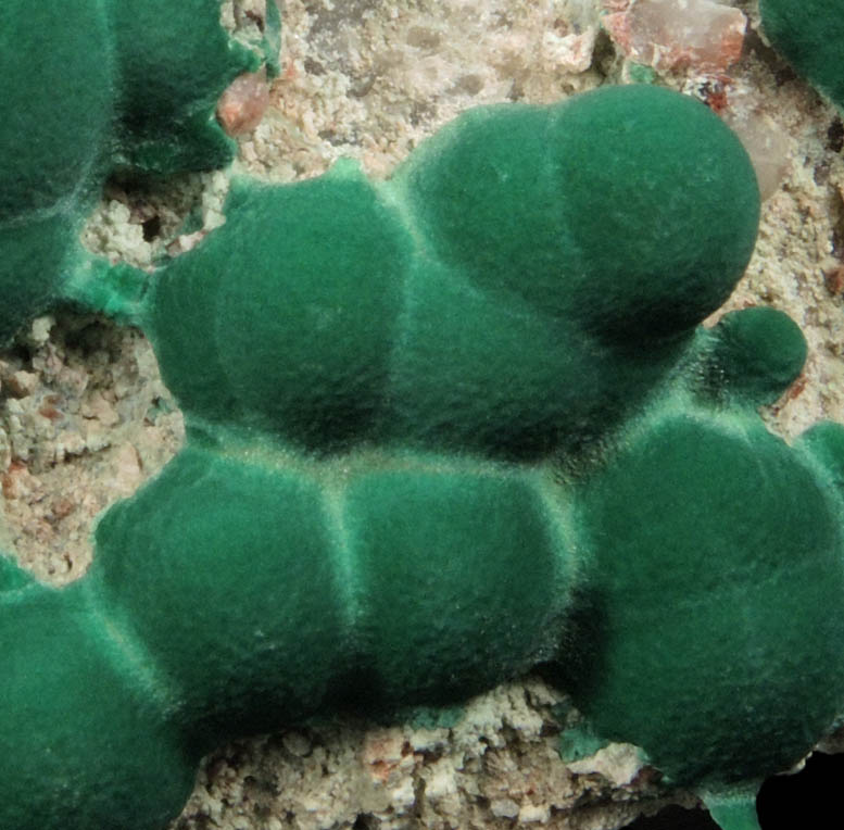 Malachite from Morenci Mine, Clifton District, Greenlee County, Arizona