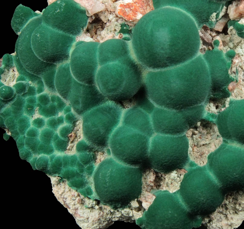 Malachite from Morenci Mine, Clifton District, Greenlee County, Arizona